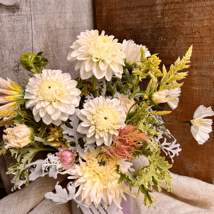  white dahlias for funeral